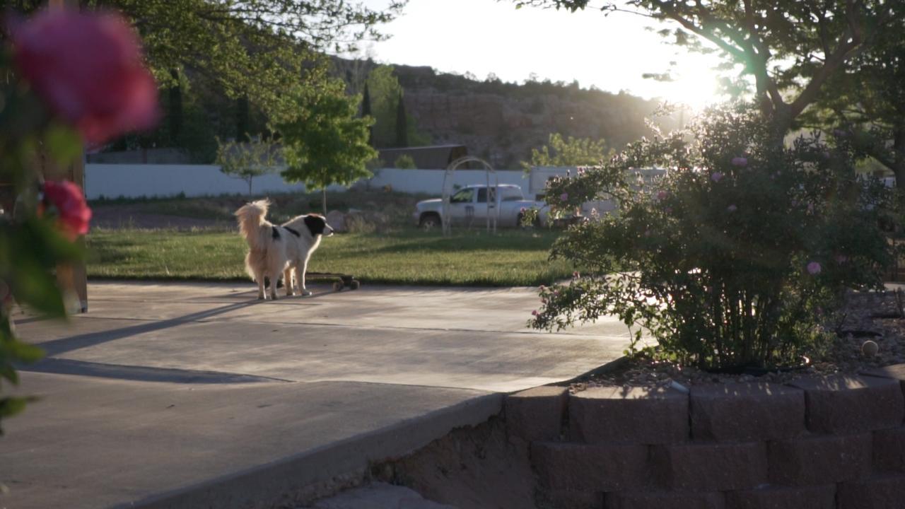 Zion'S Blue Sage Bed & Breakfast Hildale Exterior photo